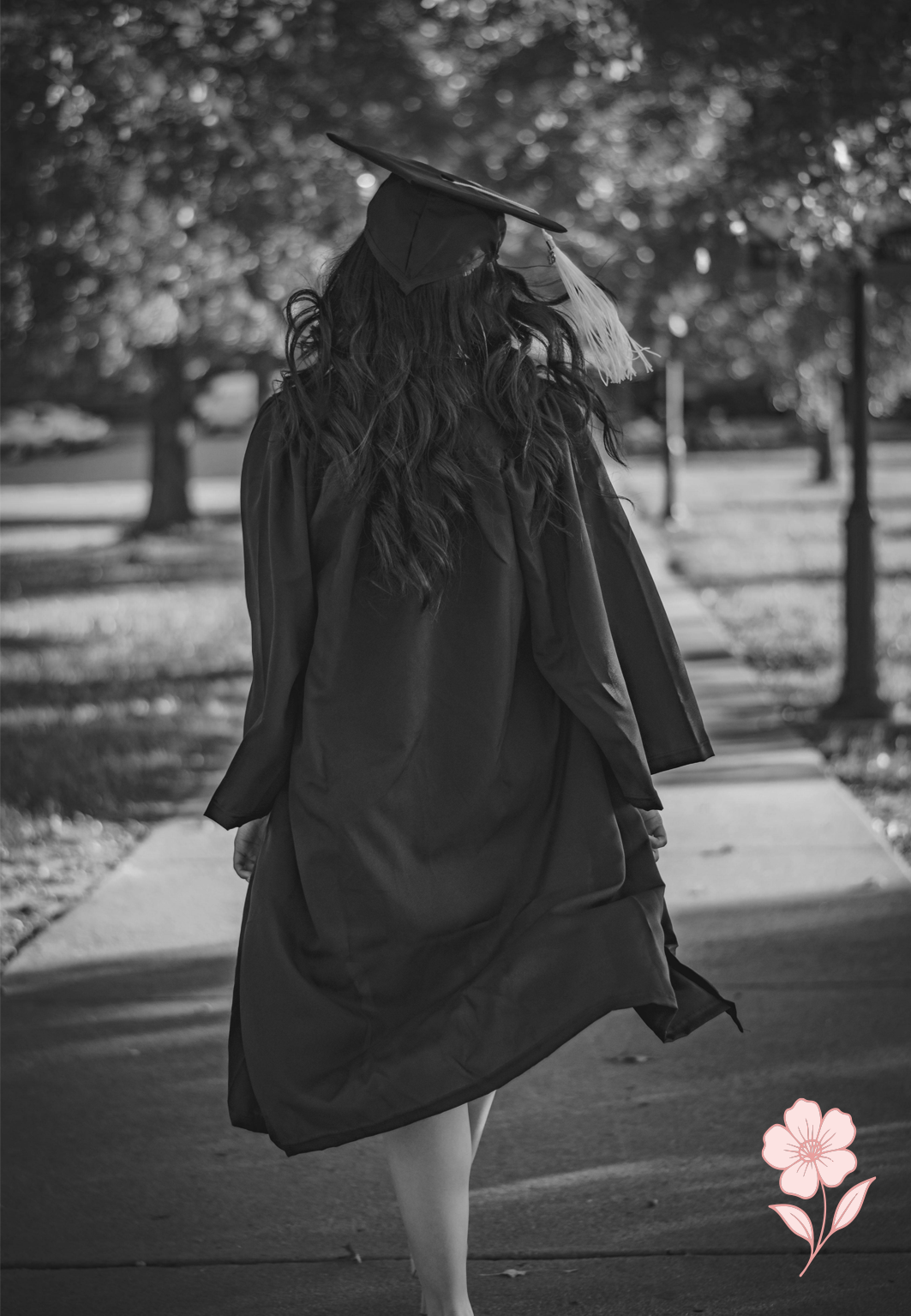 Laurea & Feste
